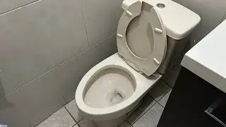 373. Bone Colored 2010s Cato Sienna Toilet at a Children&rsquo;s Center.