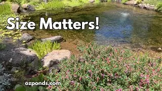 Why the size of your pond filter matters