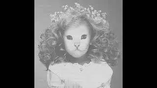 Mr.Kitty - Carnations (Instrumental)