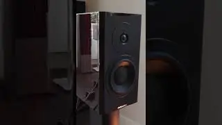 The Dynaudio special 40 showcase #hifisound #hifi #hifisystem #music #hifiaudio #sound #hificonsumer