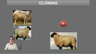 Cloning Chapter# 1