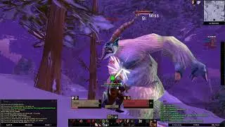 Turtle WOW HC Finish