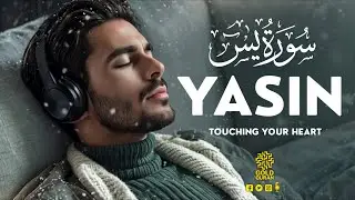 Peaceful Quran Surah Yasin for Better Sleep, Emotional Healing, & Inner Peace ✦ Yaseen سورة يس