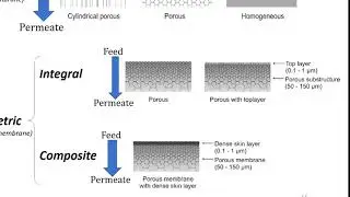 Membrane structure (excerpts from lecture 4)