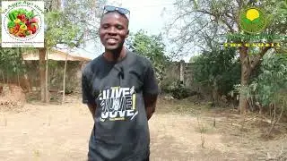  Empowering Students Through Agriculture | School Garden Support in The Gambia