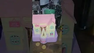Asmr Coins bank doggy piggy pinky steal my money house 🏡