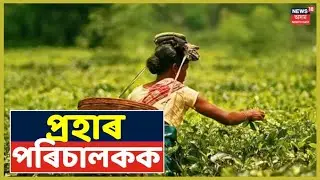 Sonari চাহ বাগিচাত উত্তপ্ত পৰিস্থিতি, প্ৰহাৰ বাগিচাৰ পৰিচালকক