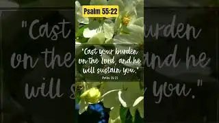 Psalm 55:22&hearts;️&hearts;️&hearts;️ #love #biblestudy #bibleverse #god #quotes