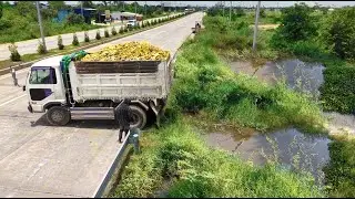 Be Carefully Started ANew Project!Dump Truck Fillland Flood Area,By Skillful Dozer D21P Pushing Soil