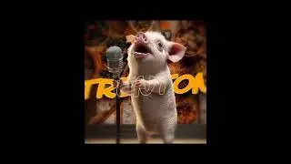 KA BAMSKILLY - TRENTON