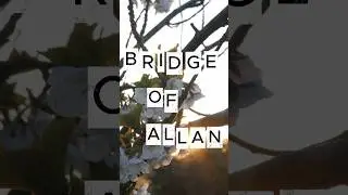 Bridge of Allan , Scotland, UK 💚💔