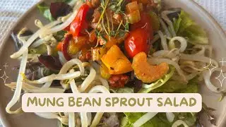 Mung Bean Sprout Salad 🌱