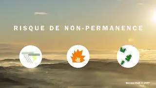 🌳 Label bas carbone en For&ecirc;t