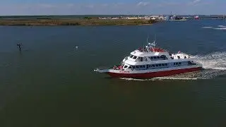 Cape May Whale Watcher: You've Never Seen New Jersey Like This