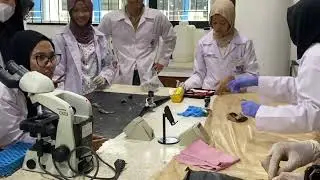 chapter 3 fish physiology and reproduction: avertebrata group