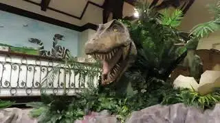 - Maidstone Museum -