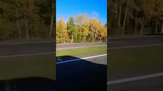 Золотая осень #subscribe #short #rec #shortvideo #youtube #youtubeshorts #youtubeclip #clips #осень