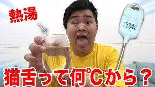 【検証】人間の猫舌って何℃からが猫舌なの！？