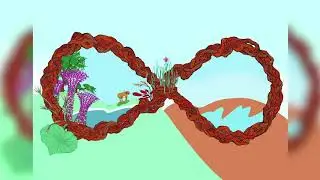 Bio Diverse City by KATHKUCING - Creative Process video