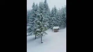 Vertical Winter Snowfall in 4K HDR | Peaceful Snowy Carpathian Forest for iPad & Tablets &ndash; Episode 2