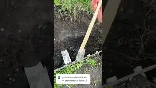 Як бачить металошукач Golden Ace - стопку, заліпуху монет?