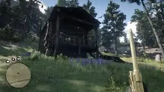 Rdr2 bear in the cabin attack