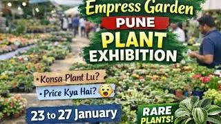 Pune's Biggest Flower Show - Empress Botanical Garden| 