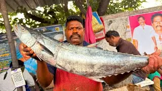 KASIMEDU SELVAM VANJARAM FISH CUTTING | UK SONS MARINE 🇮🇳