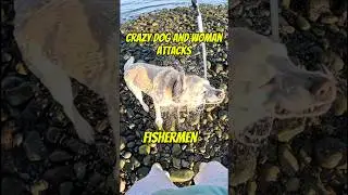 Crazy Dog And Woman Attacks Fishermen