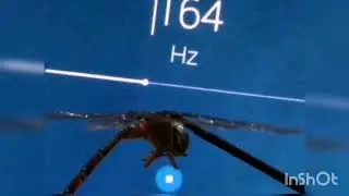 Finally reveal, how flying insect fly by using resonance effect