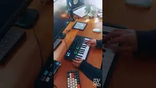 Toto - Hold The Line (Live Loop Cover) | Minilab 3 #ableton #arturia