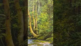 Realistic Forest Stream Oil Painting | Peaceful Nature Art #art #painting #oilpainting