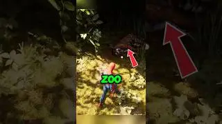Kraven&rsquo;s Tiger Funny Detail in Marvel's Spider-Man 2 🐅🕷️
