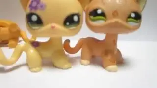 How To Spot A Fake Littlest Pet Shop Short Hair Cat On EBAY!!