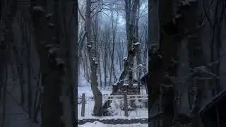 Driving Through Snow-Covered Guba Forest ❄️🌲 | Azerbaijan Winter #Shorts #SnowRoad