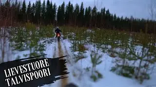 LIEVESTUORE TALVISPOORI 2025 / MUUTA H&Ouml;PIN&Auml;&Auml;