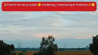 Eco Friendly Morning 🌄 Composting ke Saath Green Start 🌿♻️🌸🍃💚