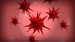 this fungus began on a bread in a bakery | plague inc evolved