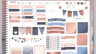 A Wild Plan Rose Gold and Blue Planner Overview