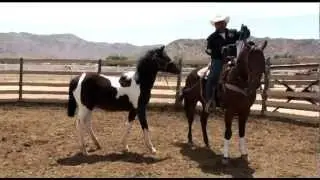 How to dally or pony a horse