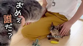 ジョーがさっちゃんの部屋に初めて遊びに行った結果こんな事になるなんて…。