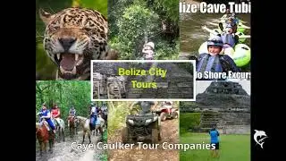 Caye Caulker Tour Companies | $100.00 | Stressless Eco Friendly Tours