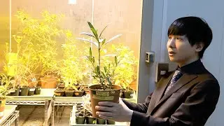 大学の研究室を一気に紹介します