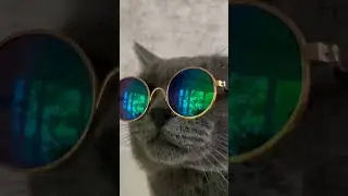 27 мая 2023 г.