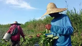 সম্পূর্ণ ভিডিওটা দেখুন মজা আছে 😱😱😱✈️🇲🇾🇧🇩#viral#for#you####2025 