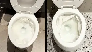 American Standard Cadet PA vs. Kohler Highline PL - Bowl Rinse Test