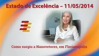 Como surgiu a Nanovetores