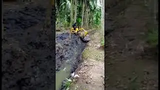 Review Pelanggan Excavator Mini 1 Ton untuk Perkebunan #shorts