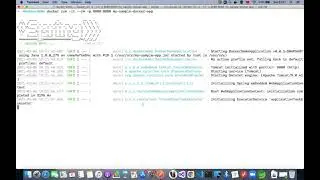 Spring Boot Docker Sample Video