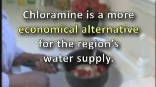 Chloramine Conversion PSA